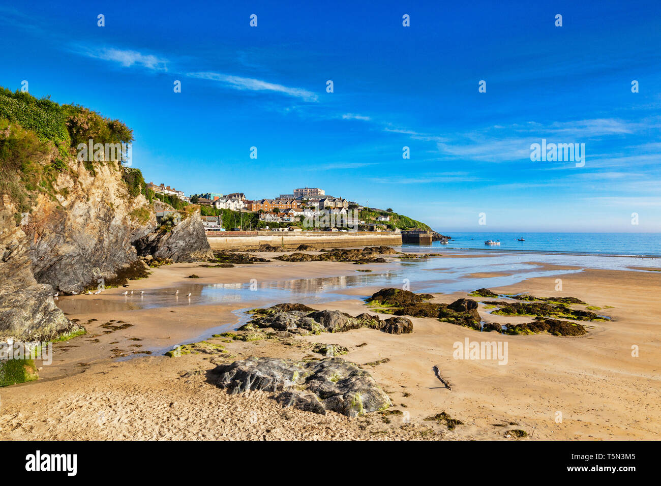 Towan Beach and Towan Head, Newquay, Cornwall, UK, before the crowds arrive, during the summer heatwave. Stock Photo