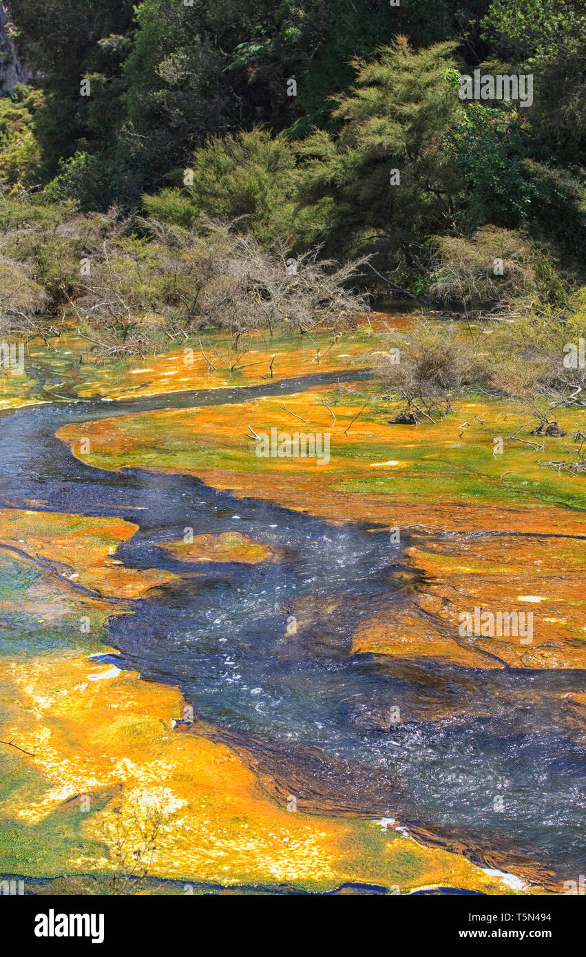 Waimangu Volcanic Rift Valley is a hydrothermal system, New Zealand. Stock Photo