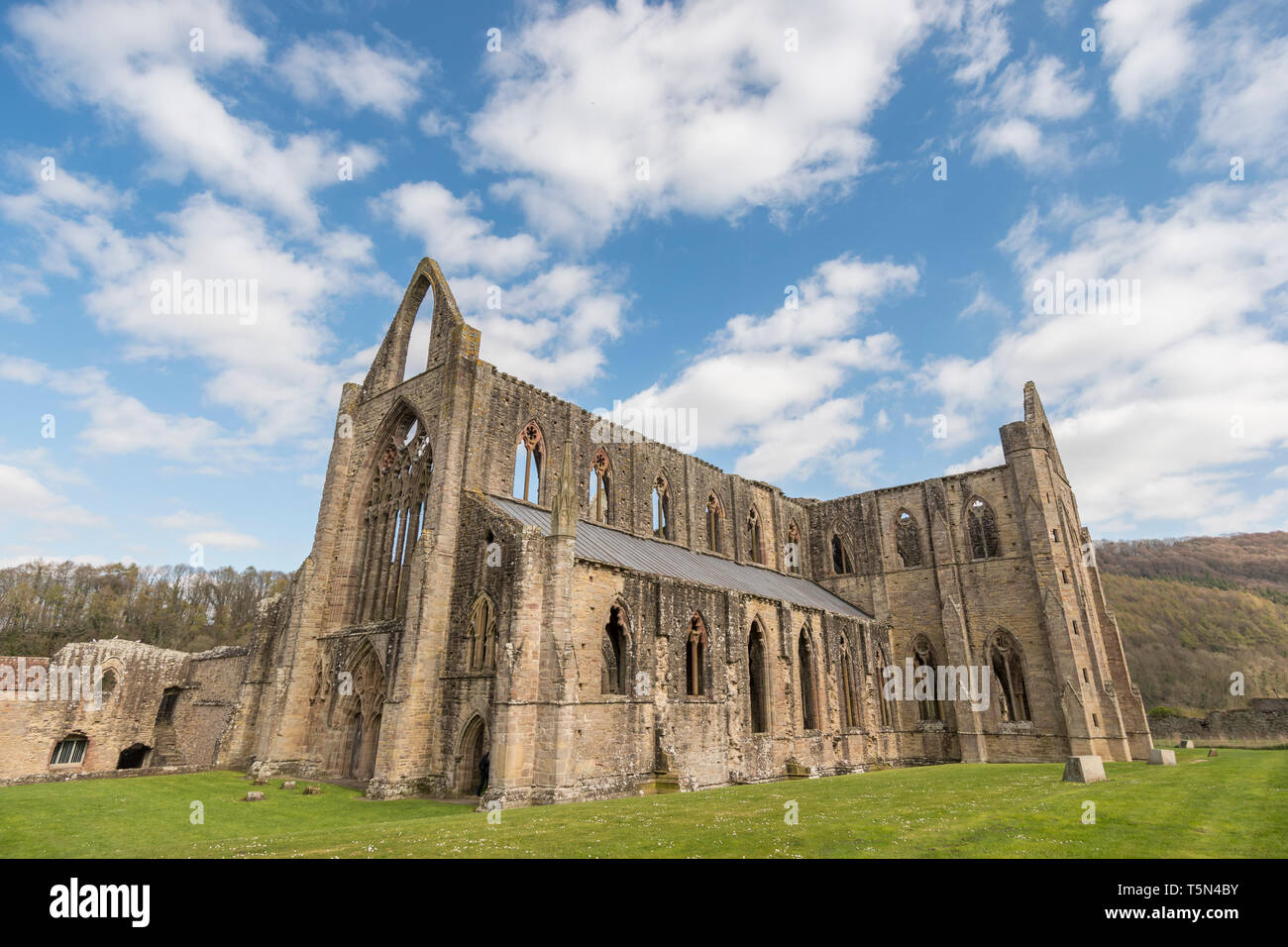 The restored ruins of Tintern Abbey, Monmouthshire, Wales, UK Stock Photo