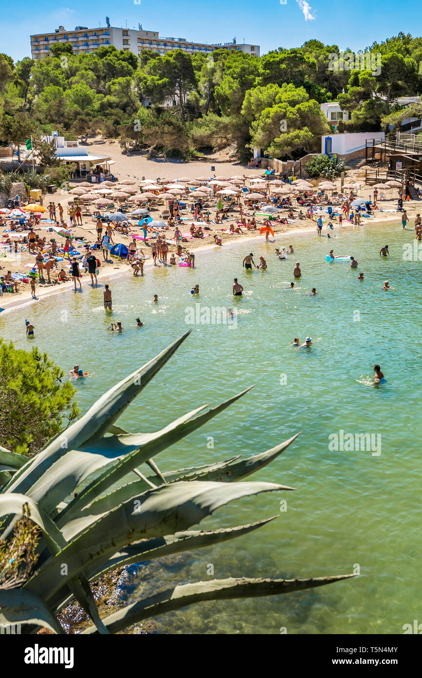 Cala Gració Beach. Sant Antoni de Portmany. Ibiza Island. Balearic Islands. Spain Stock Photo