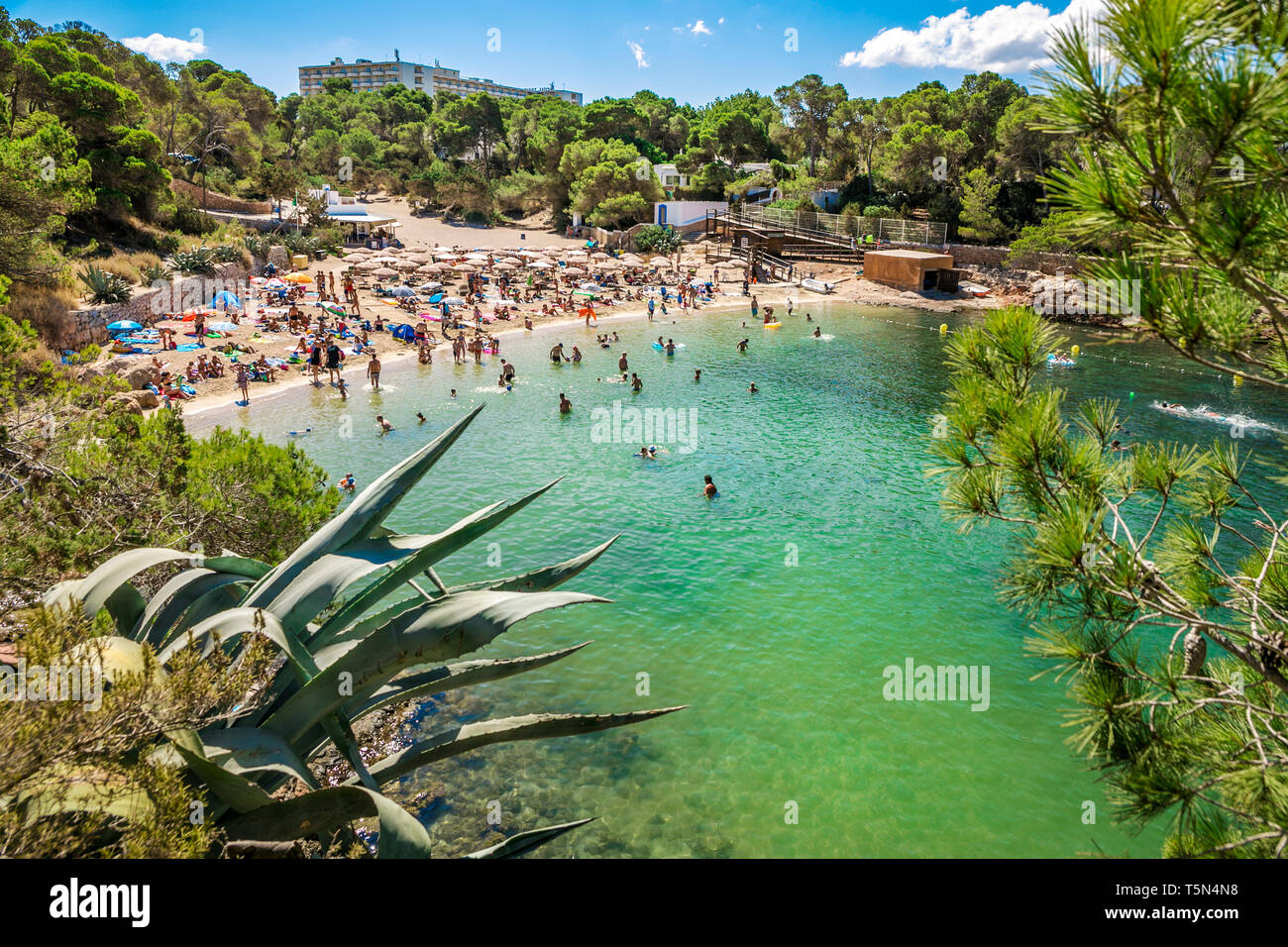 Cala Gració Beach. Sant Antoni de Portmany. Ibiza Island. Balearic Islands. Spain Stock Photo