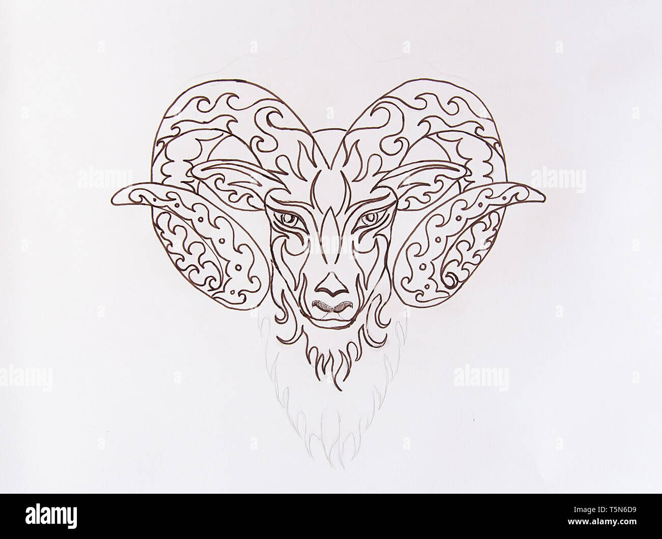 Linear Ornamental Drawing Of Aries Sacred Animal Symbol Stock Photo Alamy