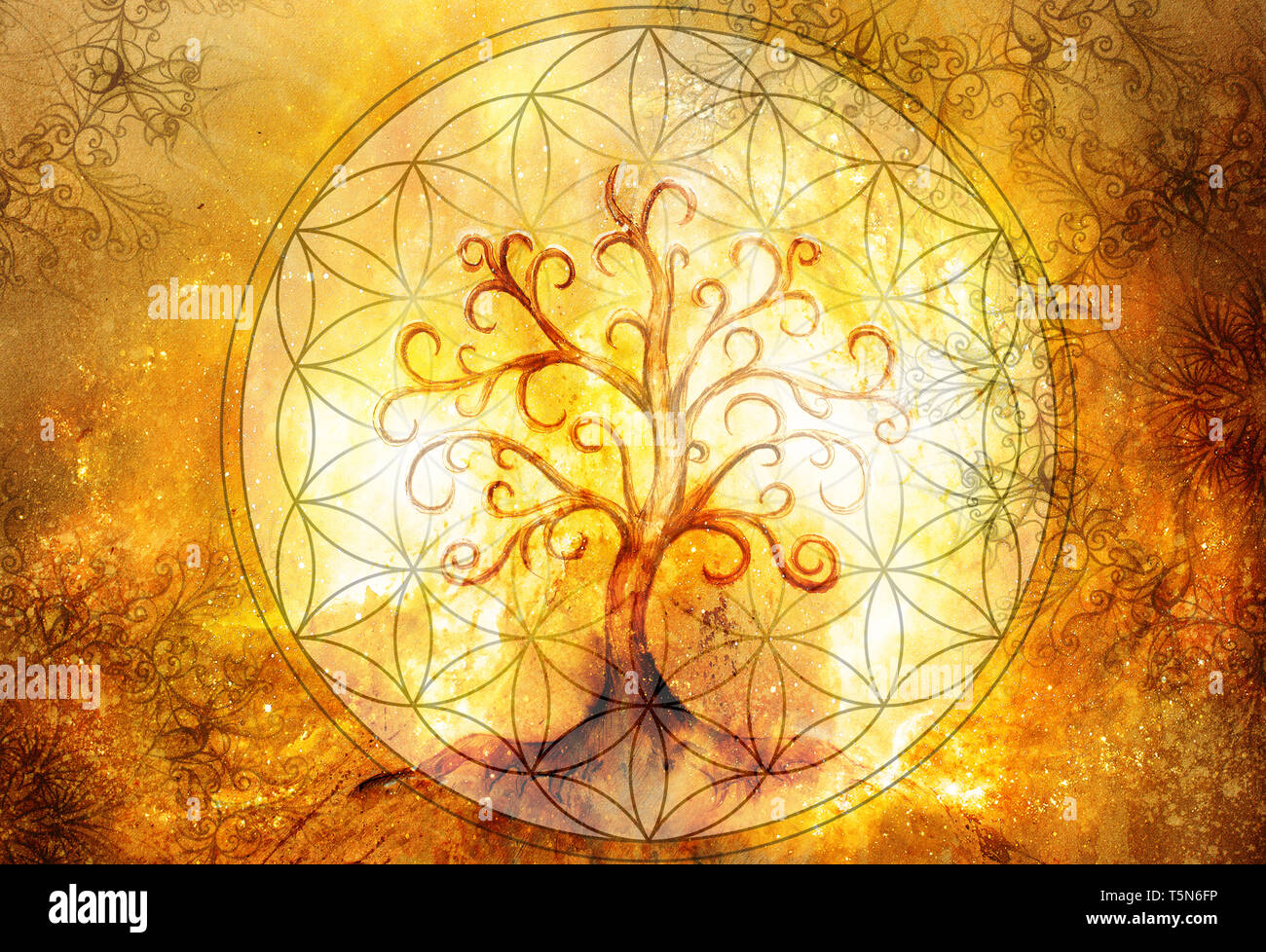 tree of life symbol and flower of life and space background with