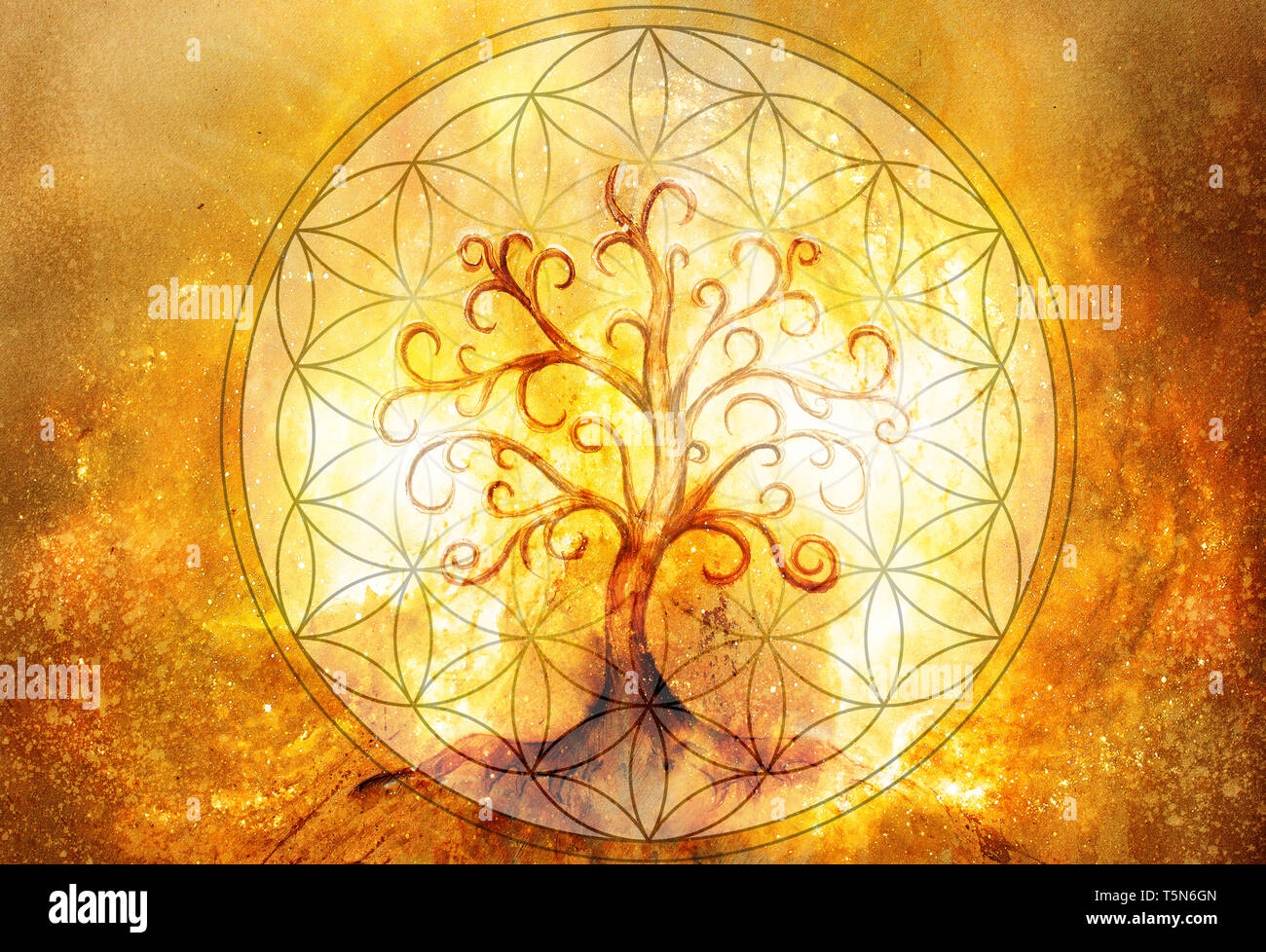 tree of life symbol and flower of life and space background, yggdrasil
