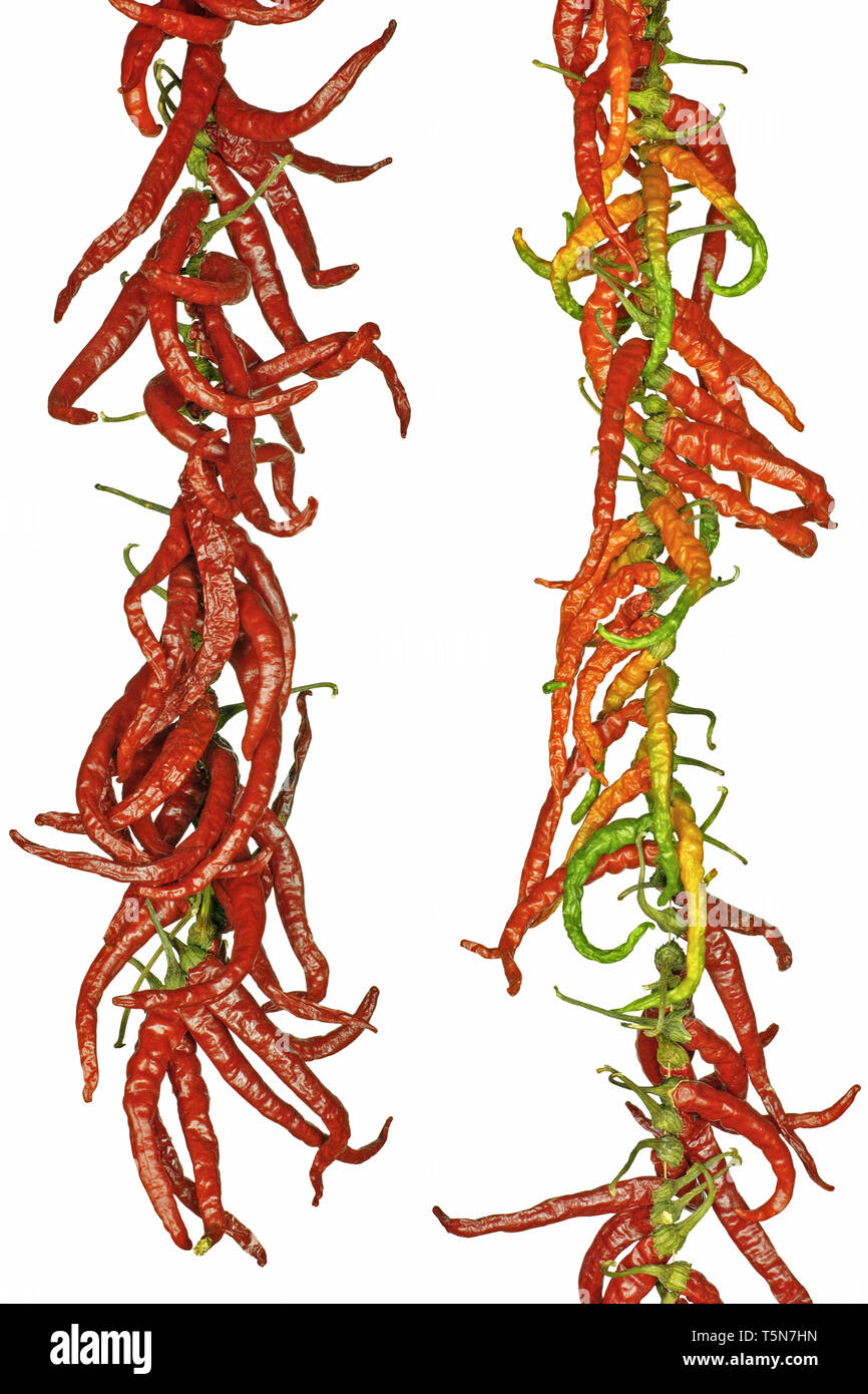 Common Chillies High Resolution Stock Photography and Images - Alamy