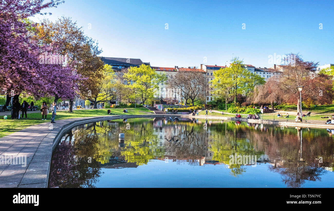 Blossom trees, Apartment buildings and reflection in pond of public park in Spring, Volkspark am Weinberg, Mitte, Berlin Stock Photo