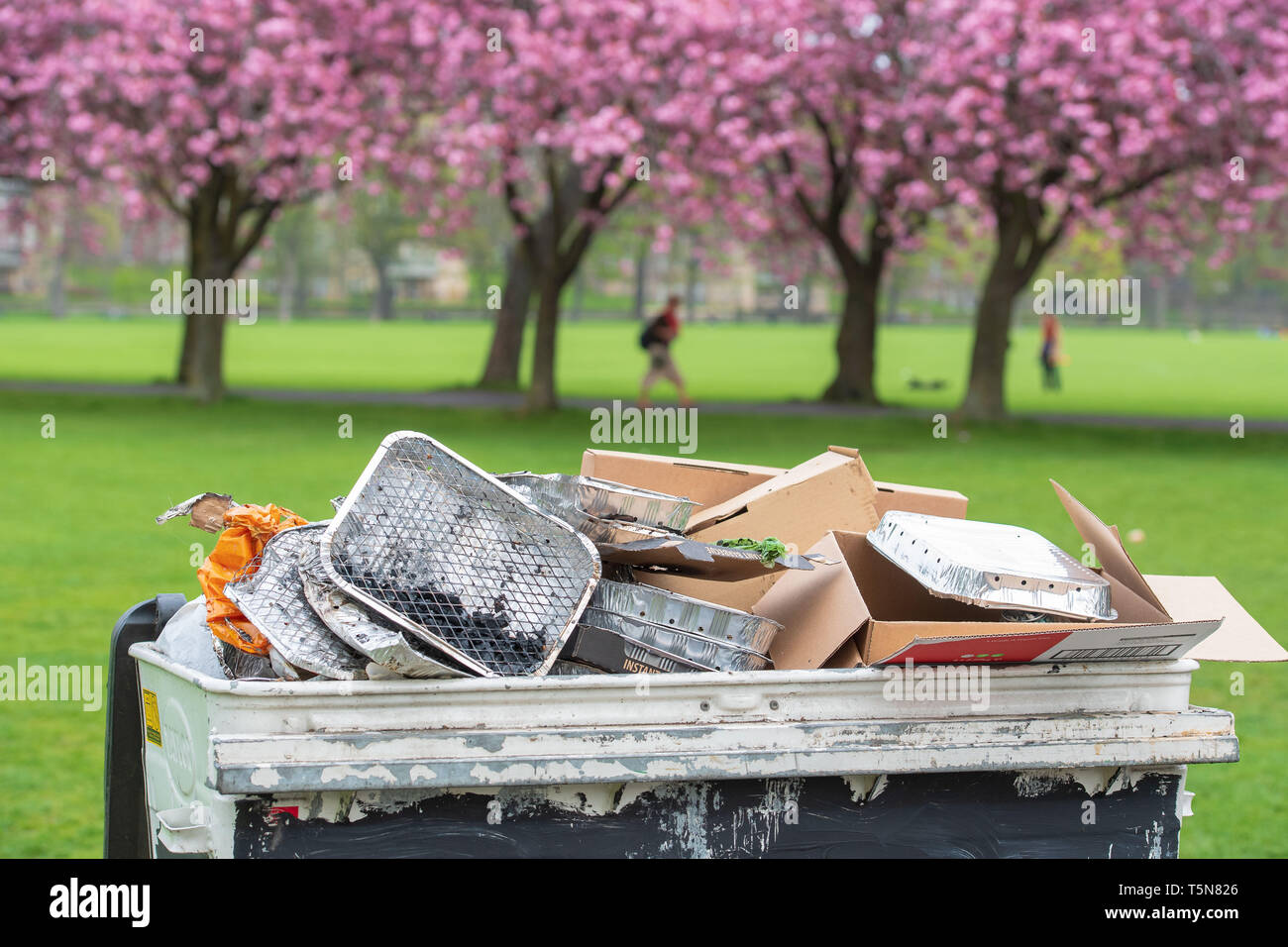 The Meadows, Edinburgh, Cherry Blossom, Disposable BBQ, Bin