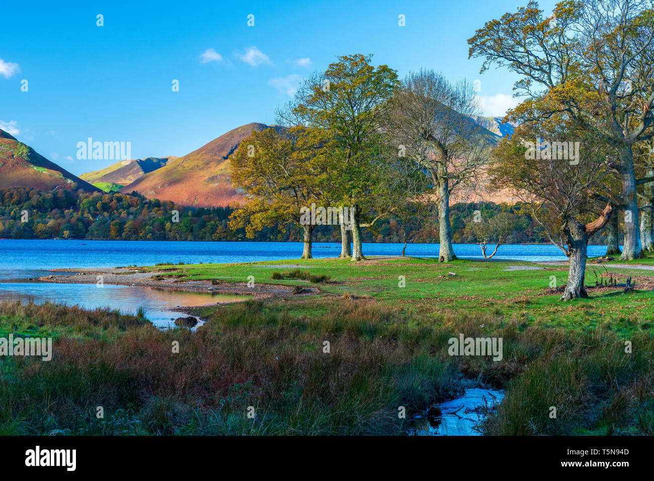 Darwent Water, Keswick, Lake District National Park, Cumbria, England, UK, Europe. Stock Photo