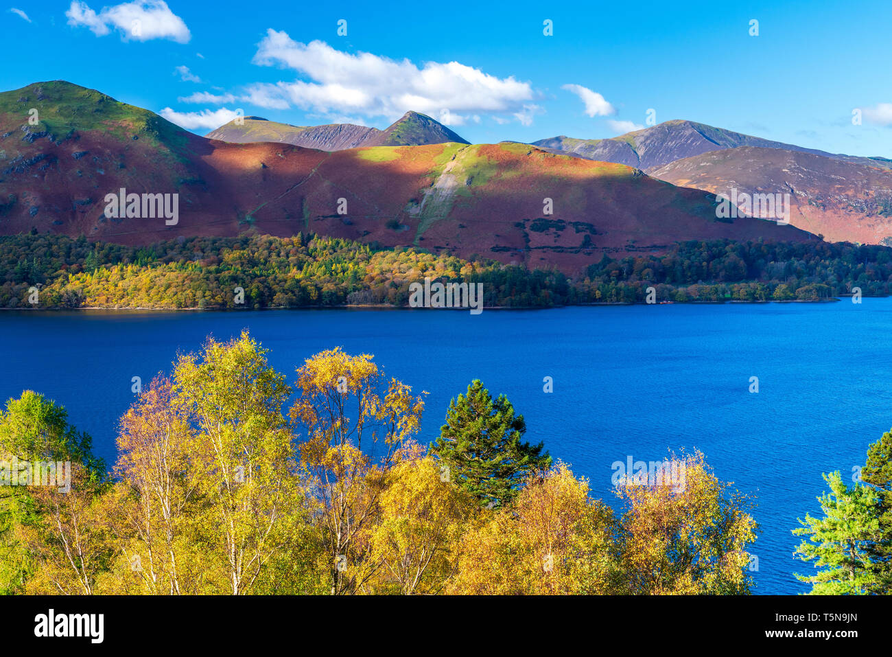 Darwent Water, Keswick, Lake District National Park, Cumbria, England, UK, Europe. Stock Photo