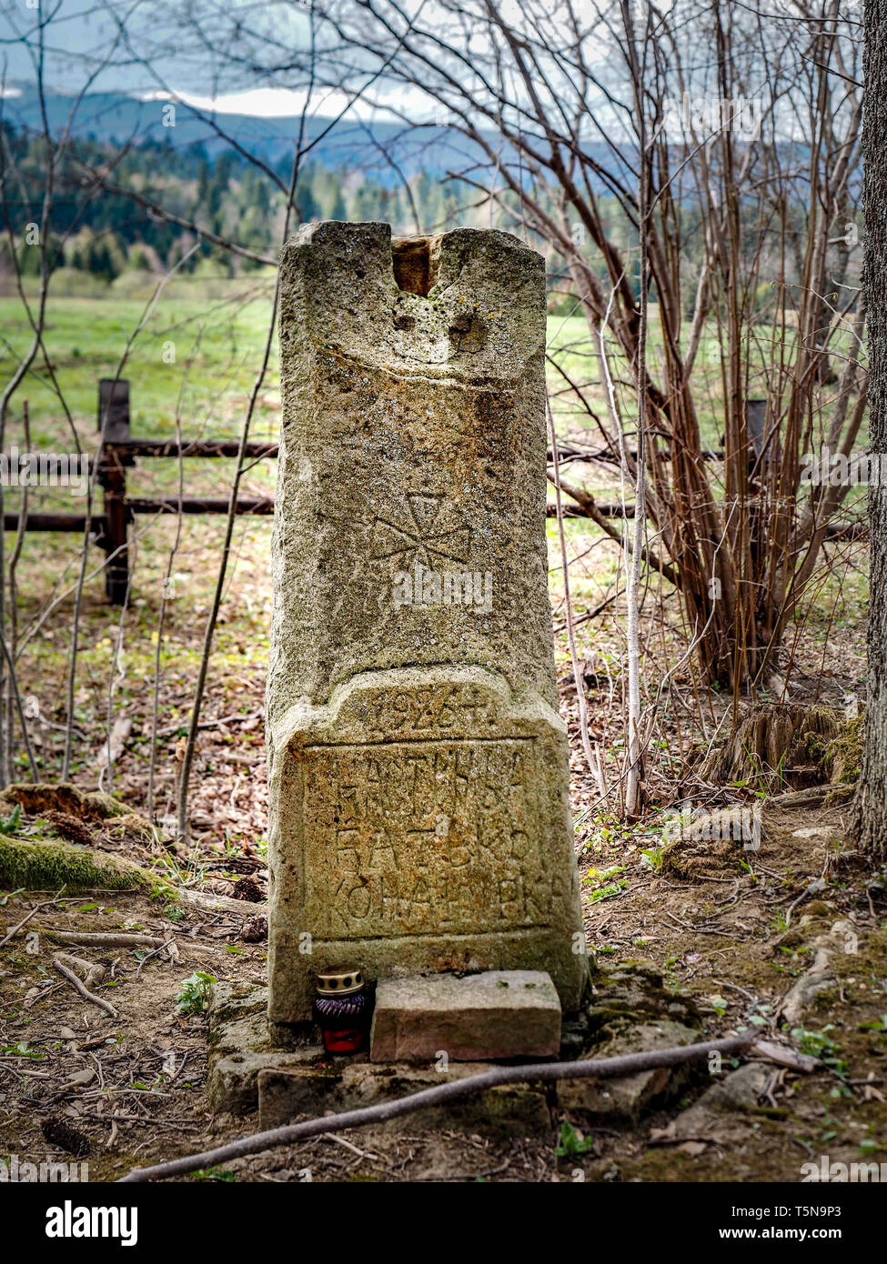 Forgotten grave of  former cemetery in Beniowa village. Historical site, Bieszczady County, Subcarpathian Voivodeship, Poland Stock Photo