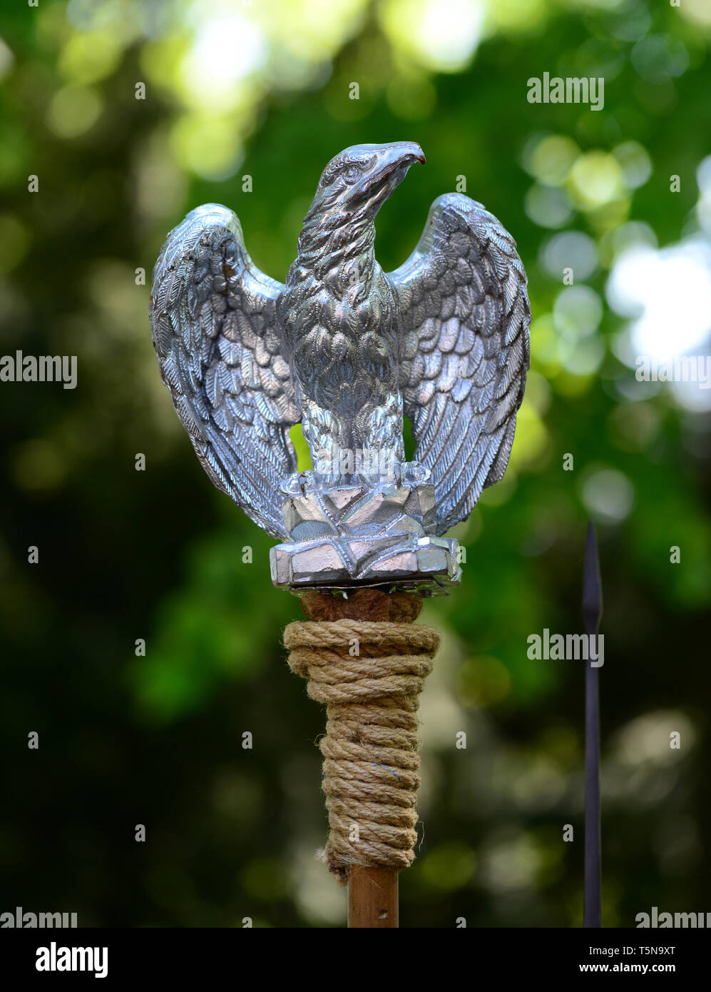 Roman empire metal eagle pennant flag symbol Stock Photo Alamy
