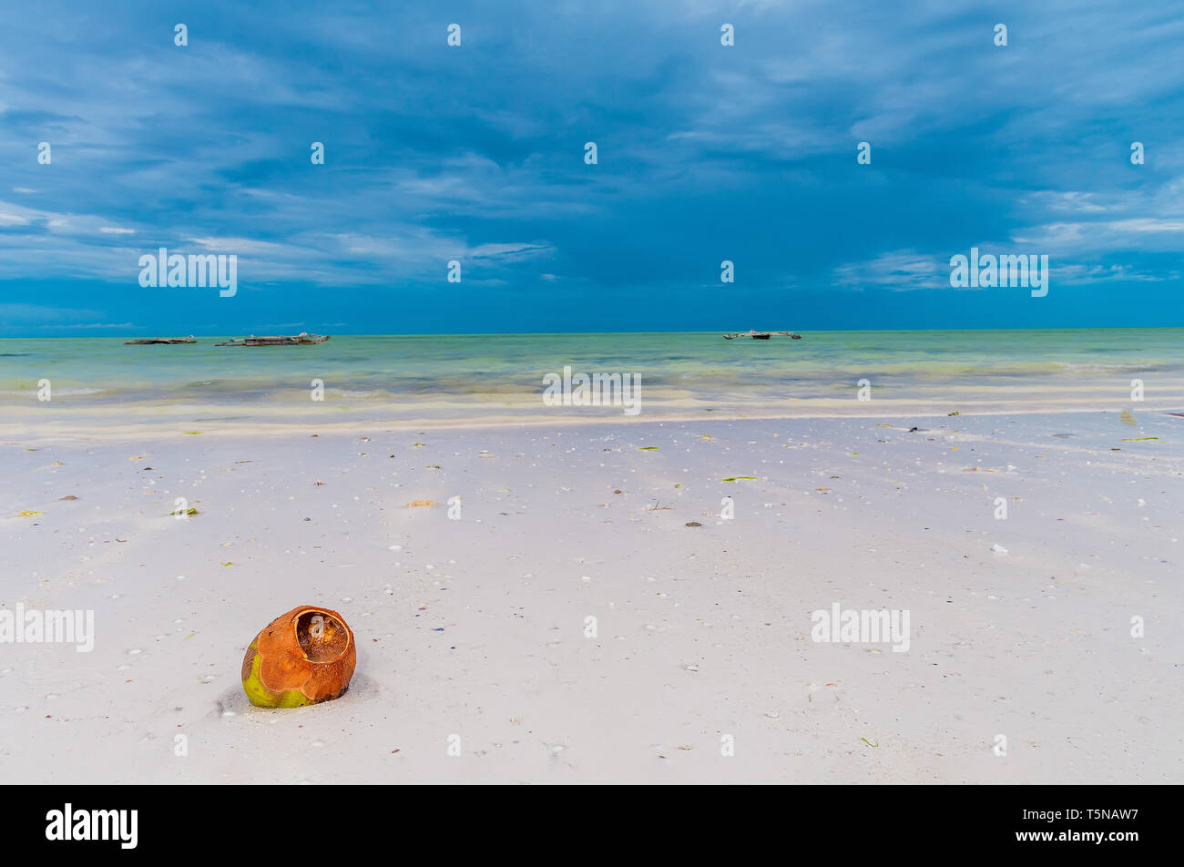 One empty coconut shell lies on the white sand of the ocean beach, close-up and horizon line. Stock Photo