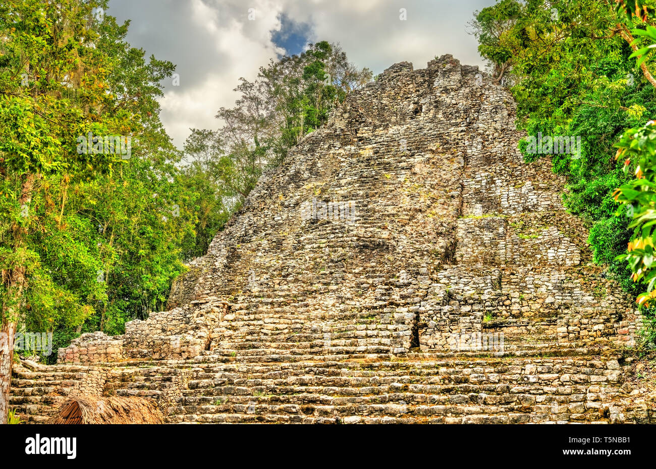 Mayan Pyramid at Coba in Mexico Stock Photo