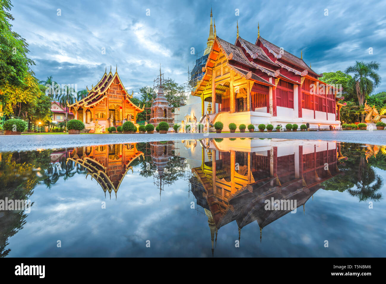Wat Phra Singh in Chiang Mai, Thailand at dusk. Stock Photo