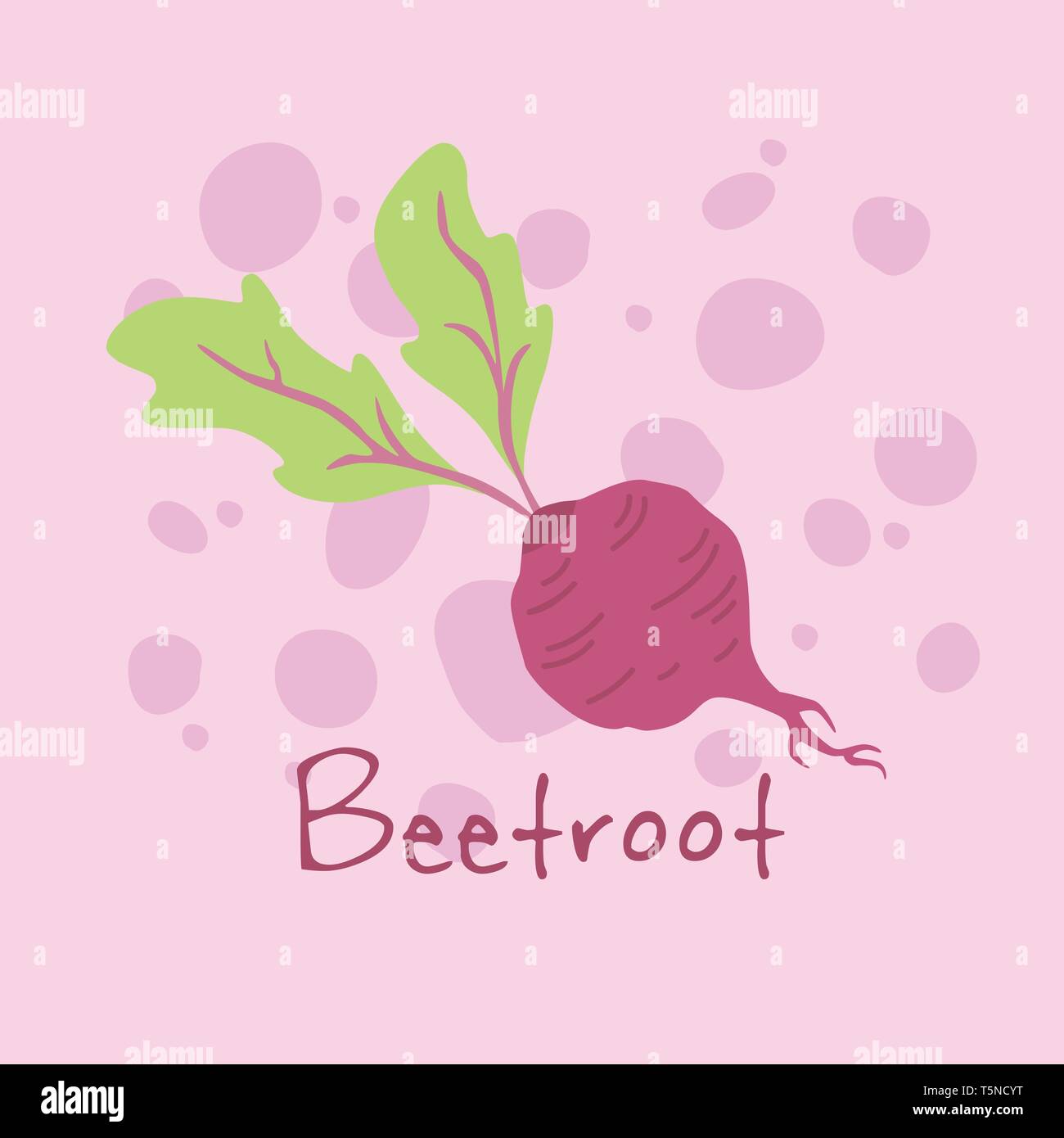 Vegetable Beetroot vector illustration isolated on purple background. Stock Vector