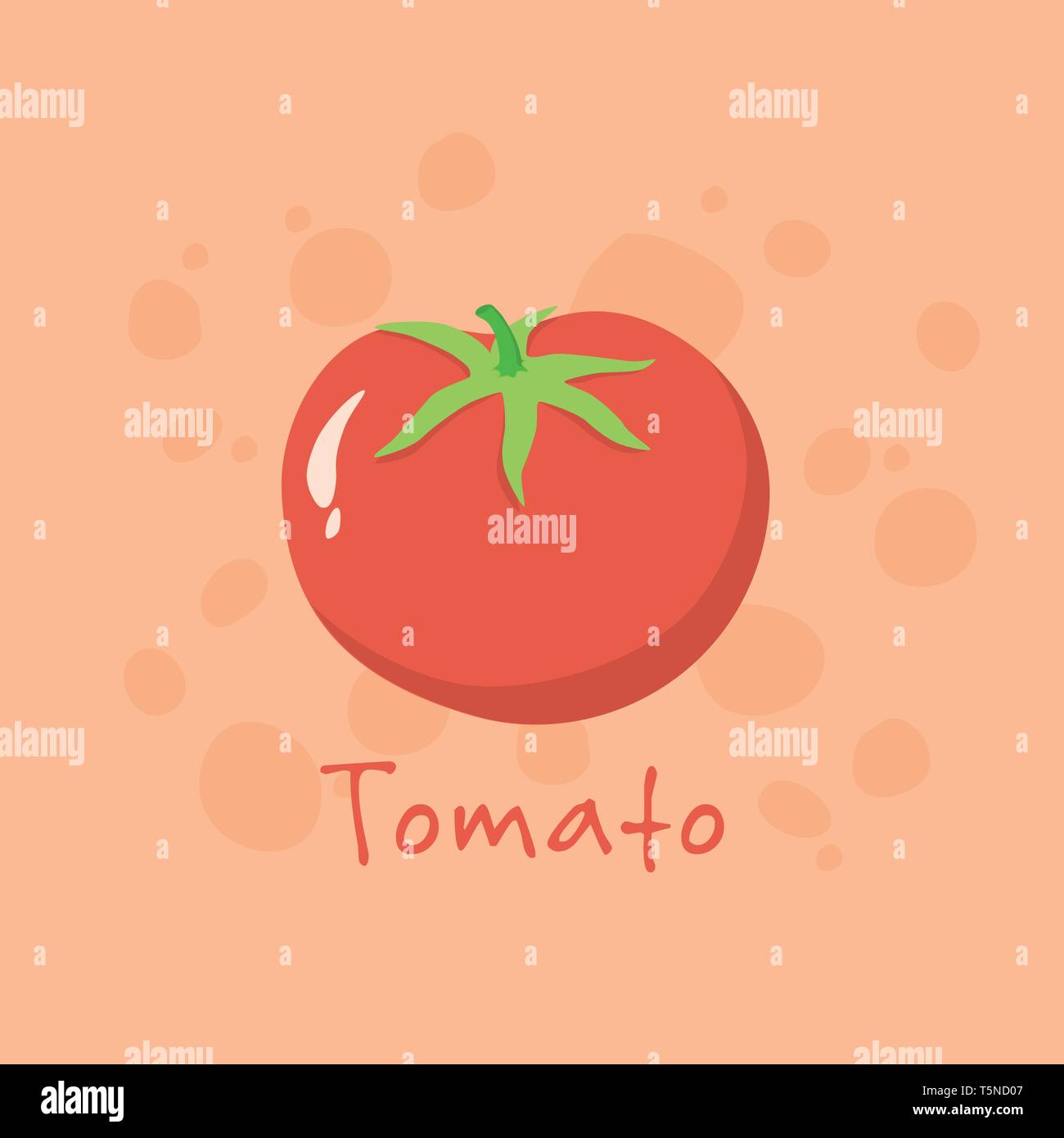 Tomato vegetable vector illustration isolated on red background. Stock Vector