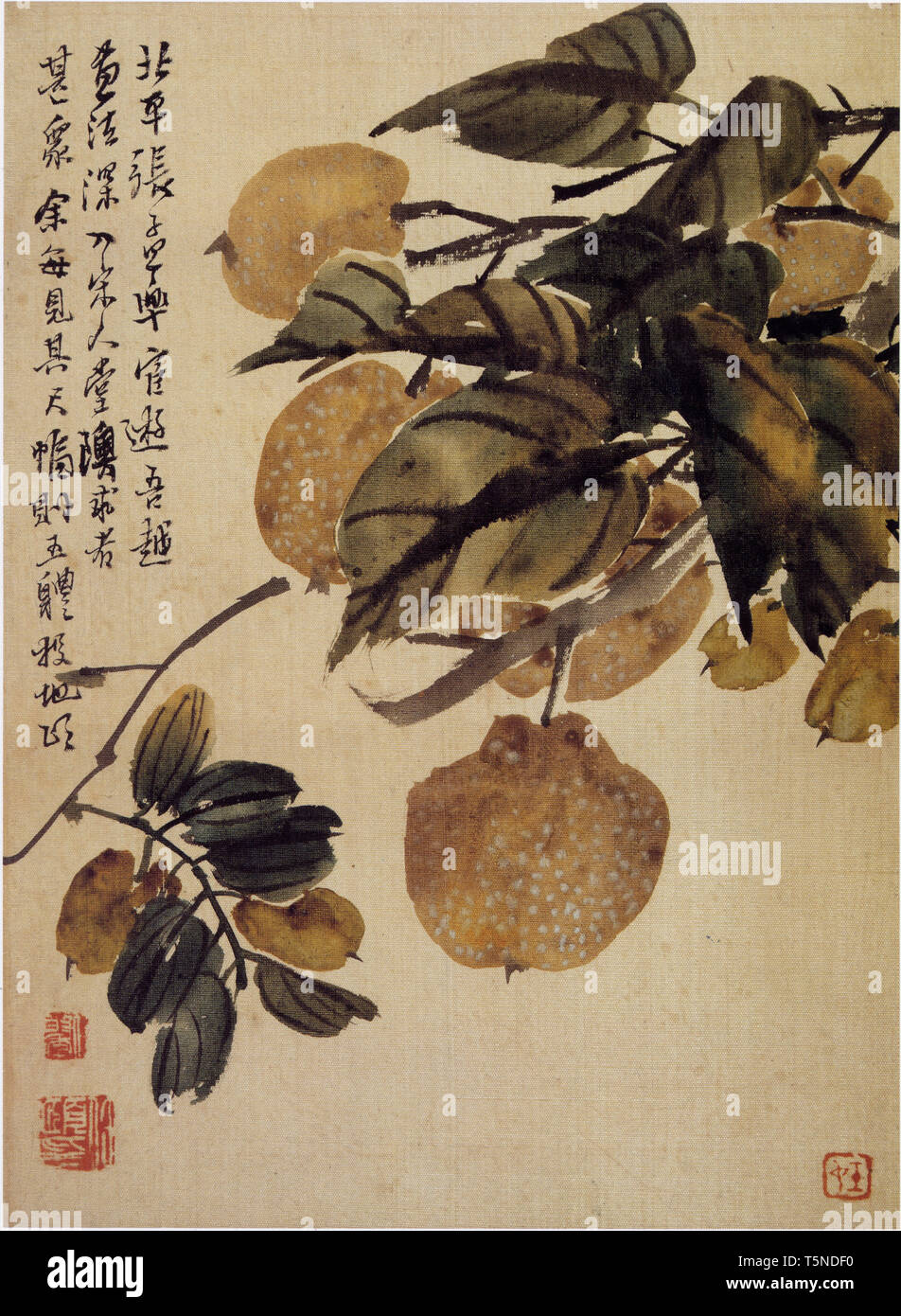 Qing Dynasty Ren Bonian Flower and Bird Painting Album Stock Photo