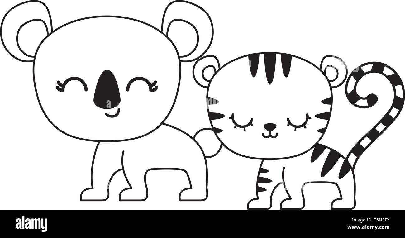 cute tiger with koala animals isolated icon vector illustration design ...