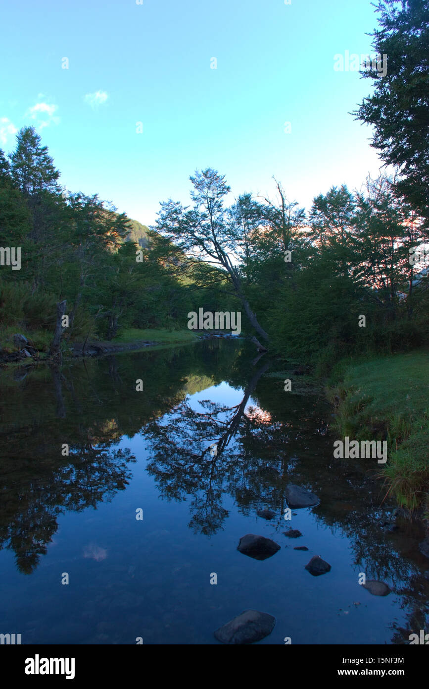 A peaceful place by the river in Argentinian Patagonia. Ths water is perfectly still and reflections are clear and crisp. Stock Photo