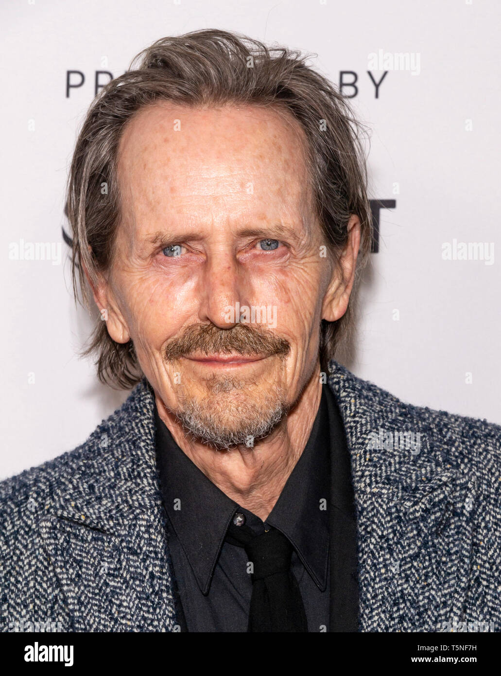 Stephen mchattie hi-res stock photography and images - Alamy