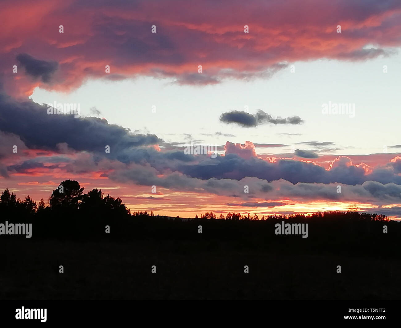 Beautiful Clouds At Sunset, Dark Forest, Tragic Sky And Dark Clouds 