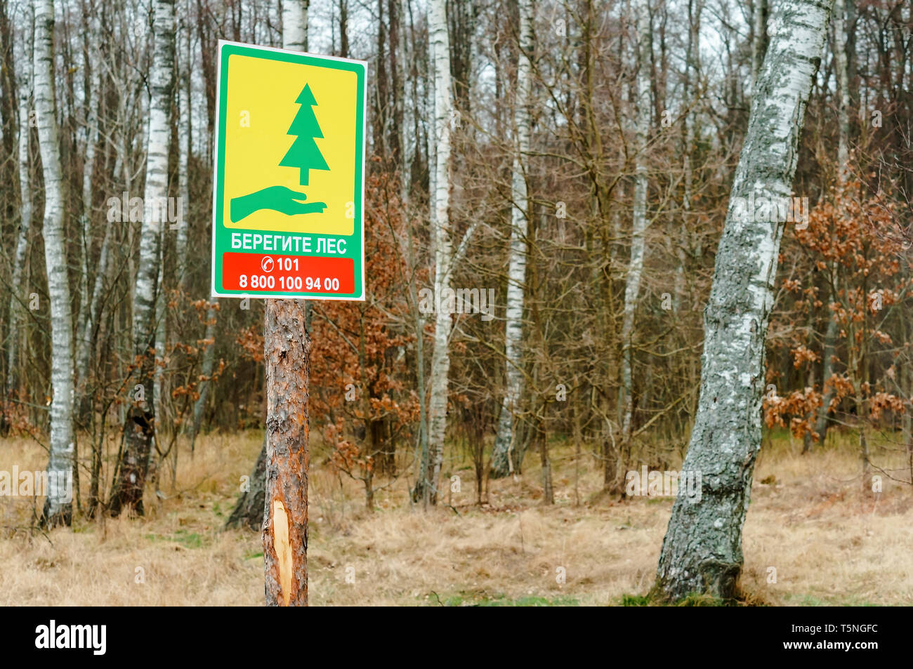 poster in the forest caution with fire, warning about the danger of fires in the forest, Kaliningrad region, Russia, March 23, 2019 Stock Photo