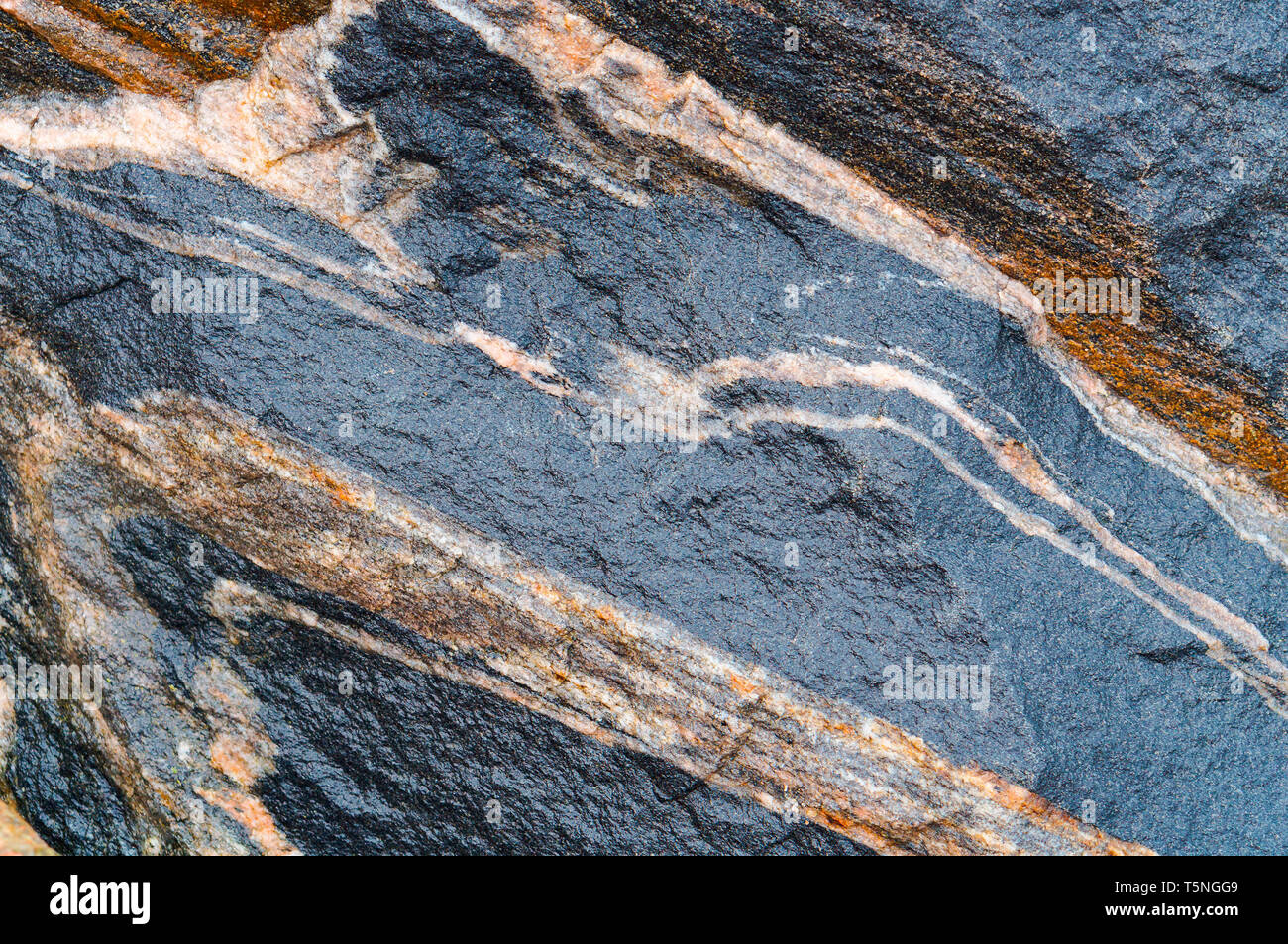the background of sea stone, the texture of the stone Stock Photo