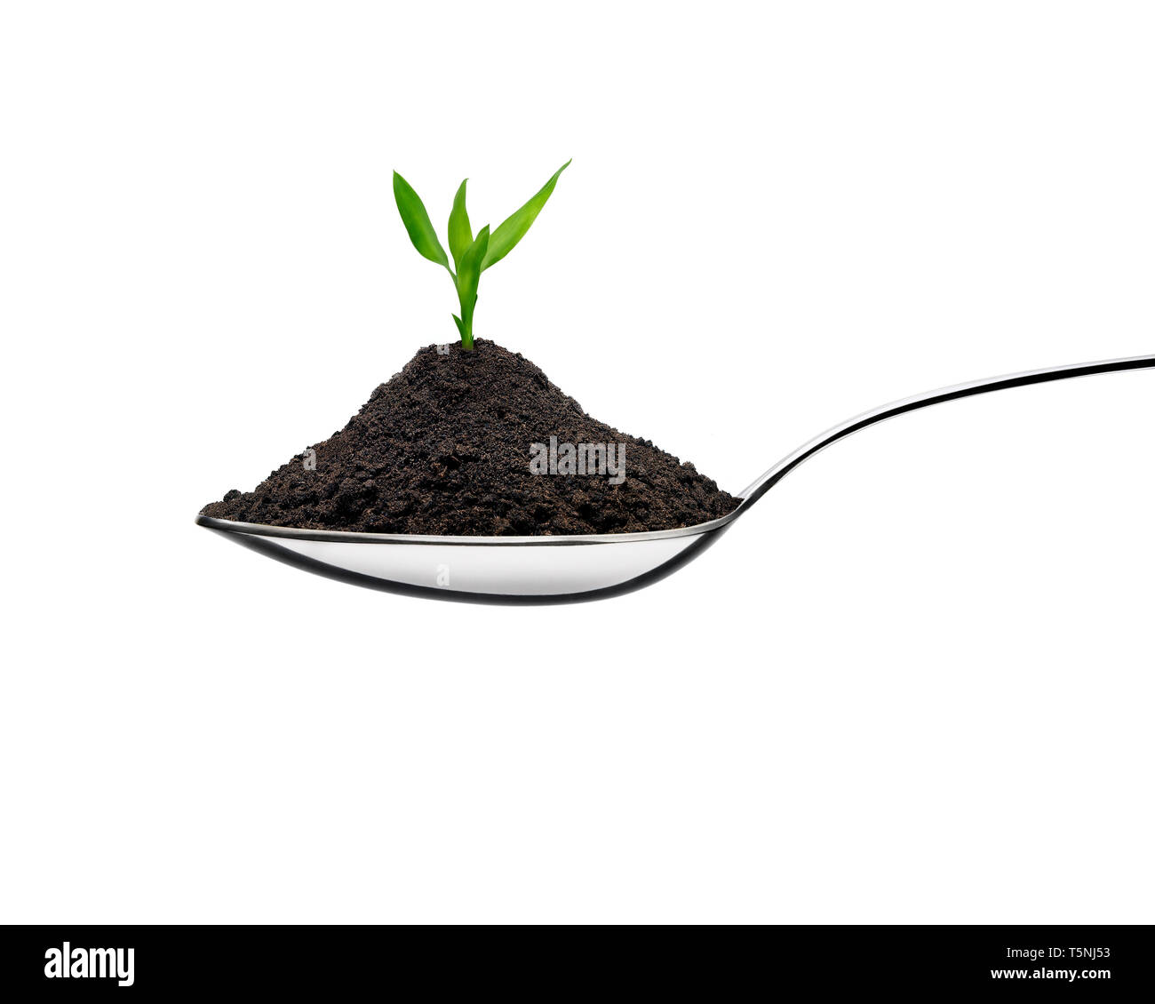 Pile of soil into a spoon and growing plant in a ecological concept. Front view against white background. Stock Photo