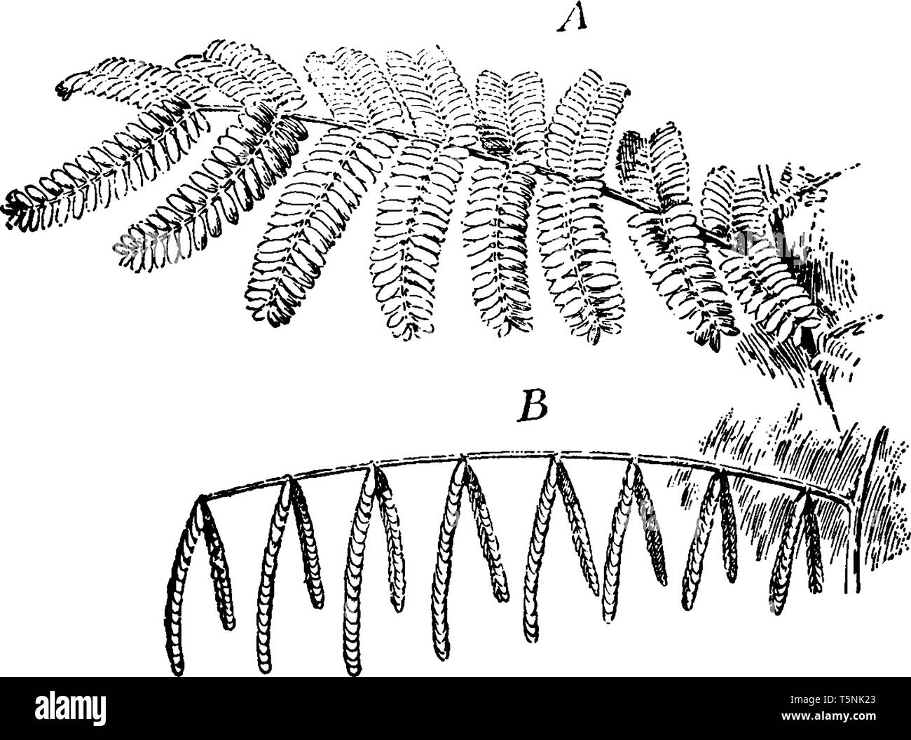 Closed for the night Cut Out Stock Images Pictures Alamy