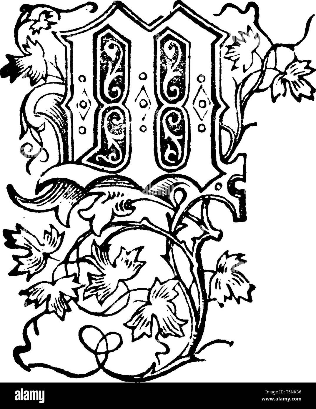 An ornamental capital letter M with leaves and vines, vintage line ...