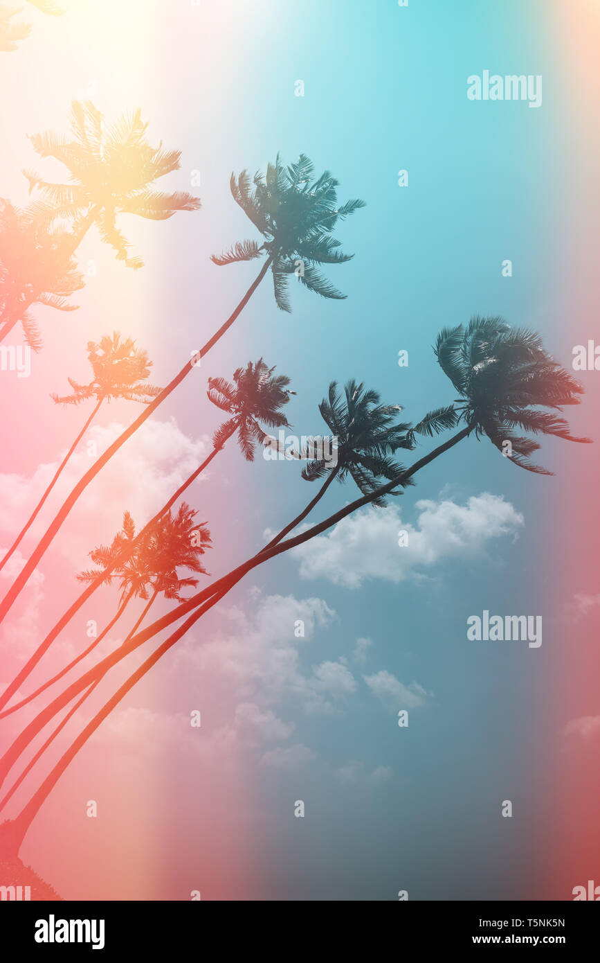 Coconut palm trees on tropical ocean beach, vintage toned and retro ...