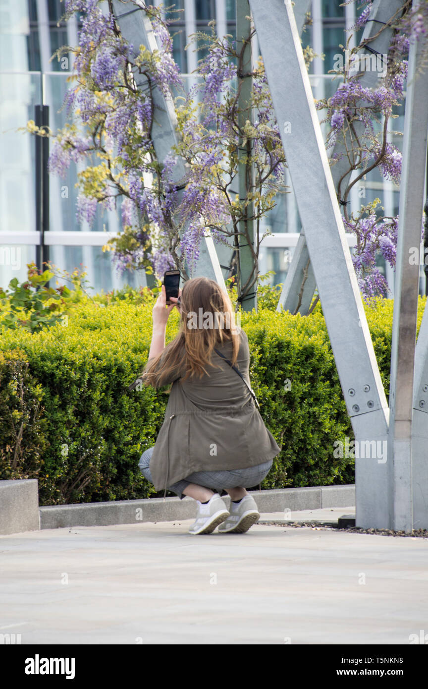 A lady visitor to Fen court taking pictures of the flowers in the garden Stock Photo