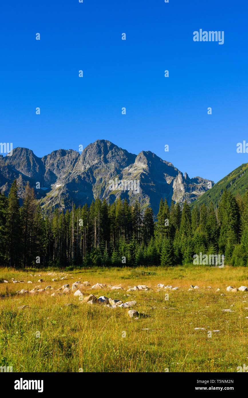 High mountains on summer hi-res stock photography and images - Alamy