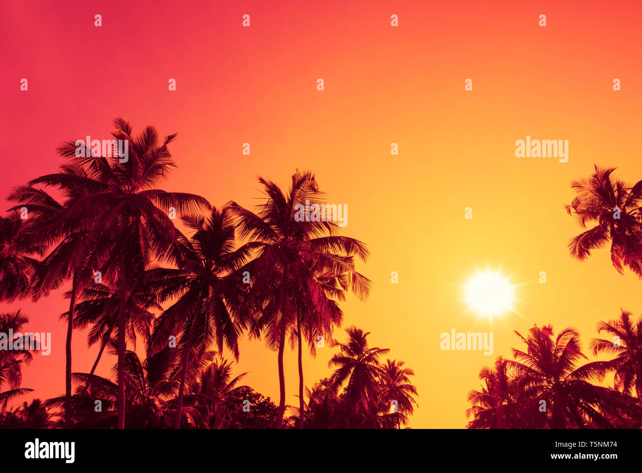 Palm trees silhouettes on tropical beach at summer warm vivid sunset ...