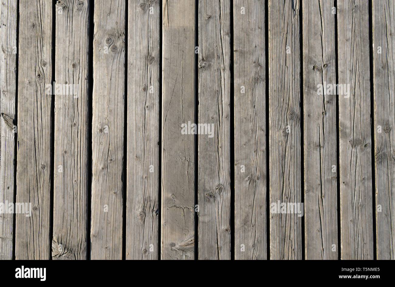 Gallery image with a fresh perspective