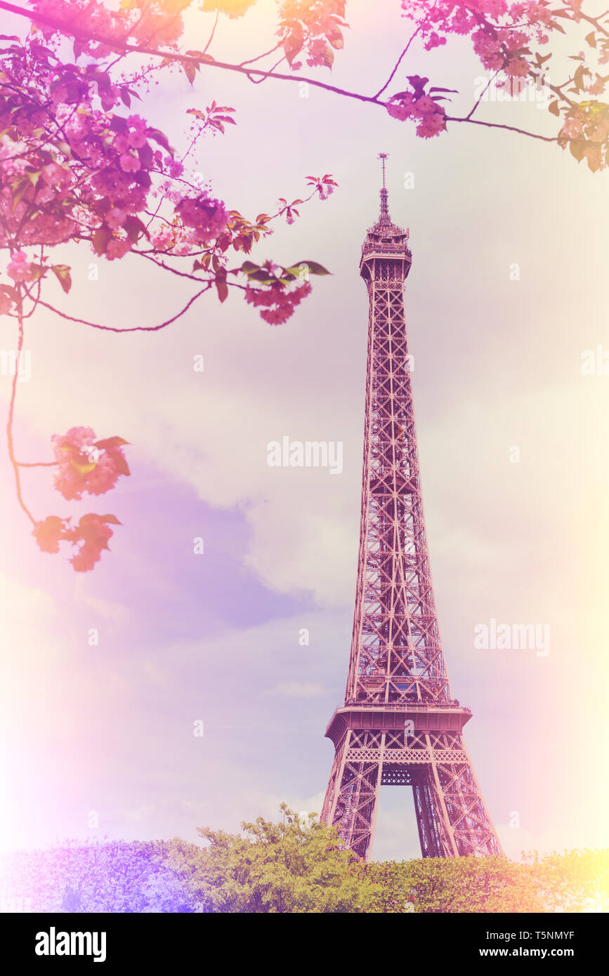 Spring at Paris with Eiffel Tower and blooming cherry blossom tree vintage film color stylized with light leaks Stock Photo