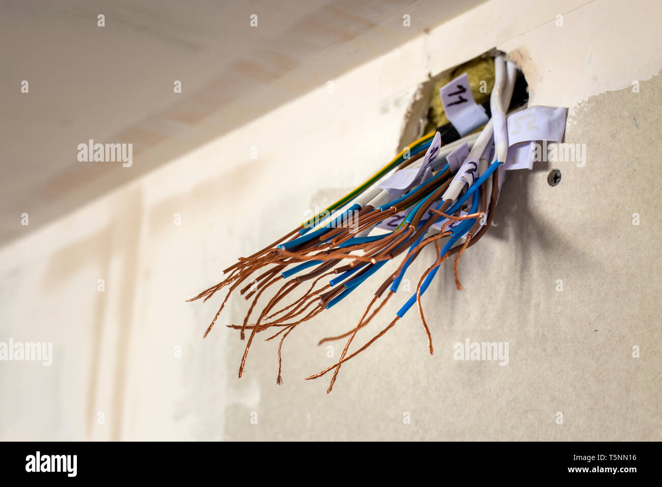 Electrical exposed connected wires protruding from socket on white wall