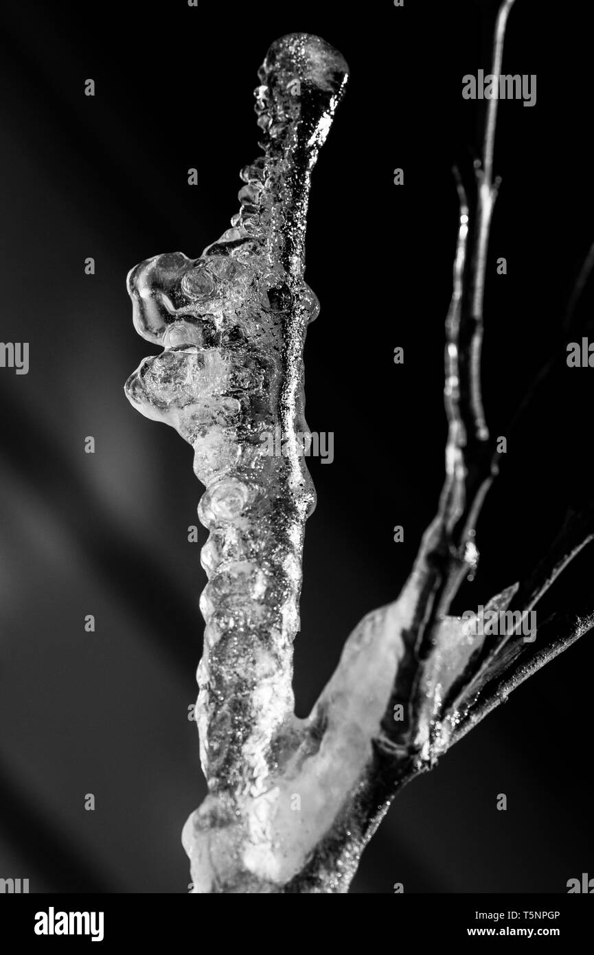 Ice patterns freezing water crystals Black and White Stock Photos ...
