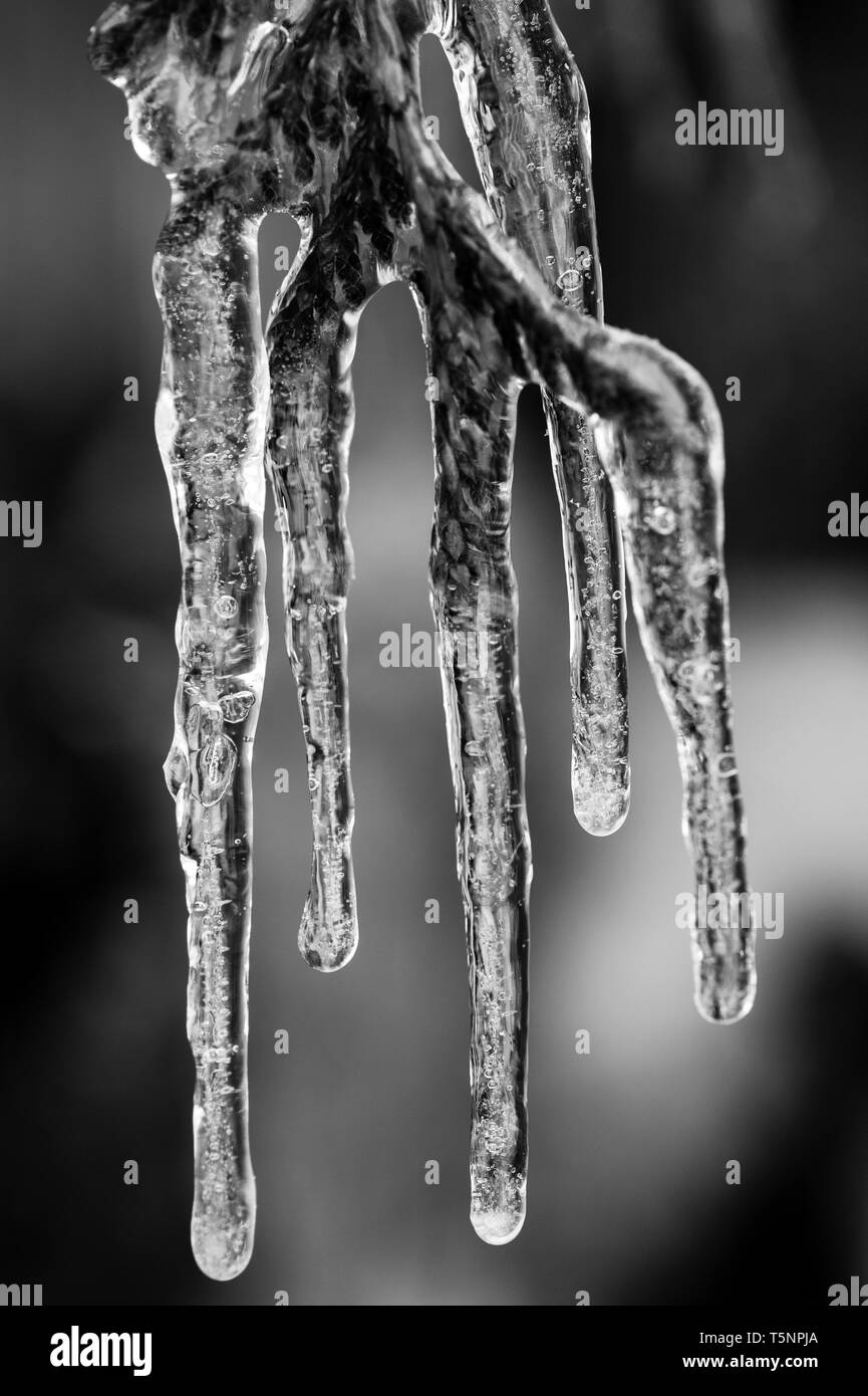 Ice patterns freezing water crystals Black and White Stock Photos ...