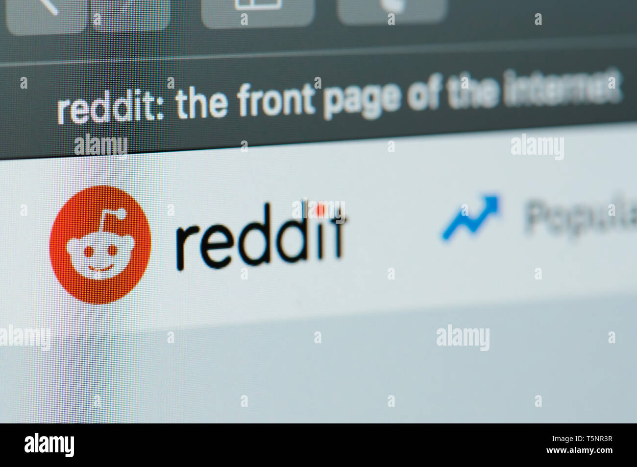 New york, USA - april 22, 2019: Reddit home page on laptop screen close up Stock Photo