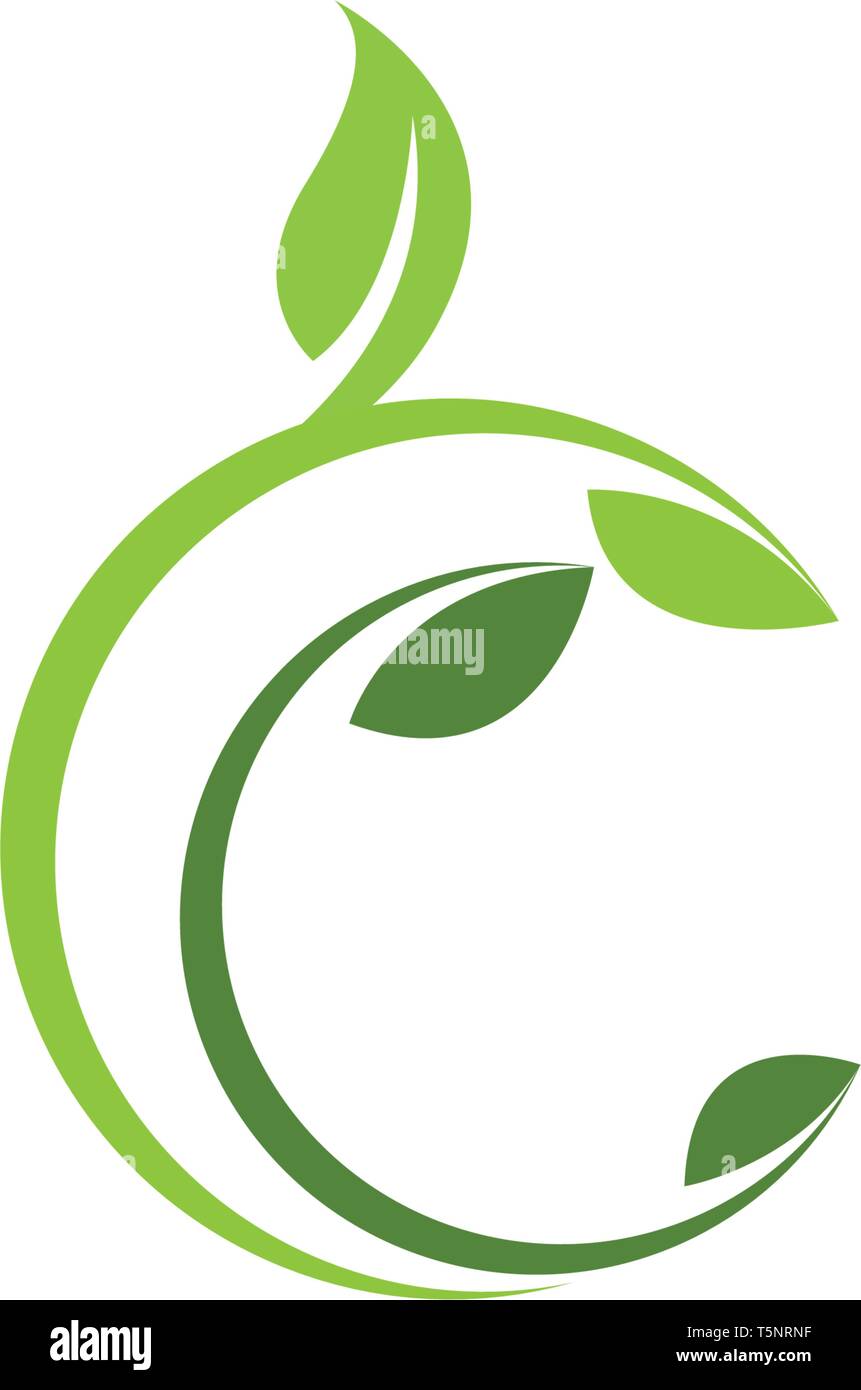 Tree Leaf Vector icon Illustration design template Stock Vector Image ...