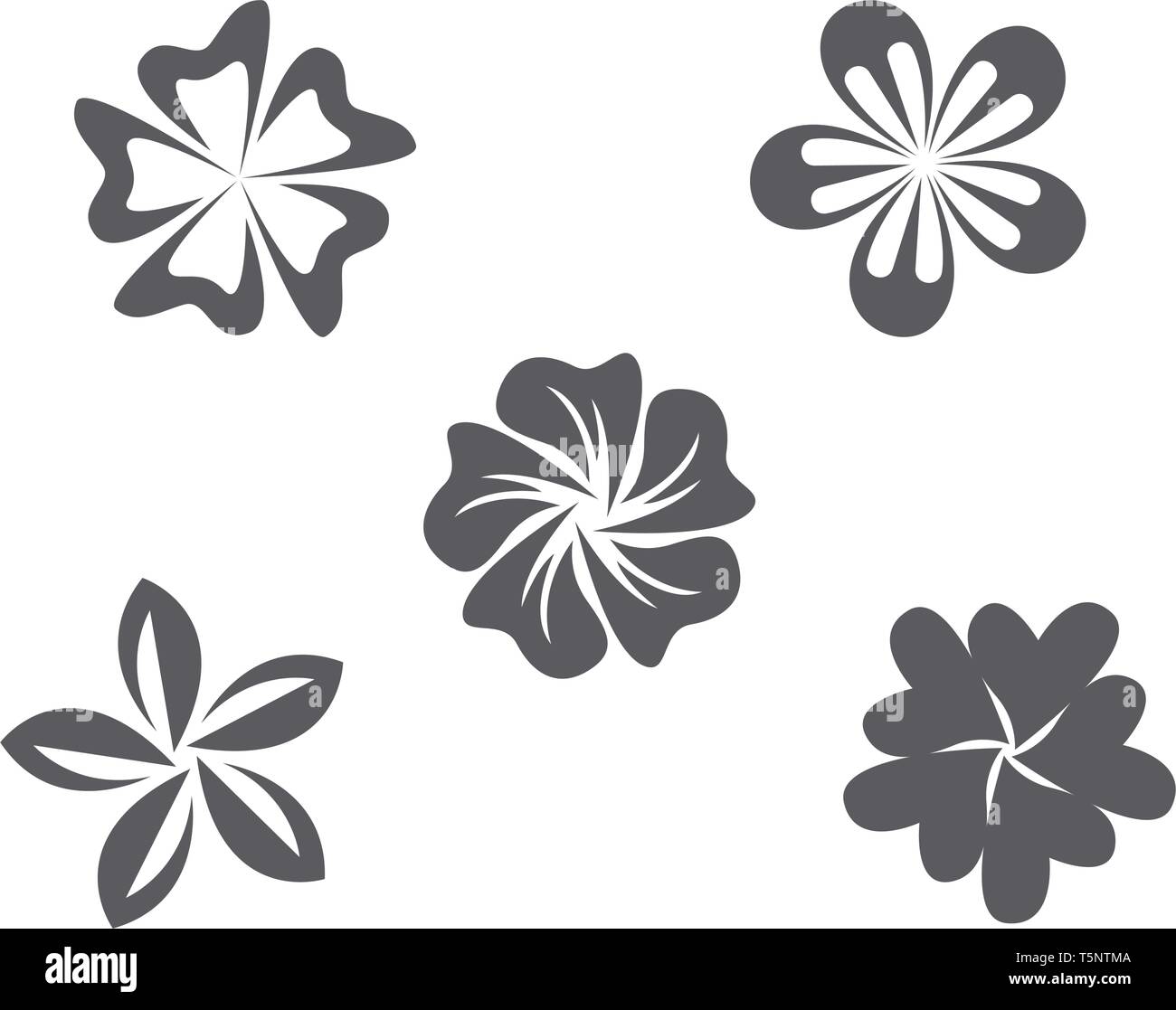 Jasmine flower Stock Vector Images - Alamy, image size:1300x1117