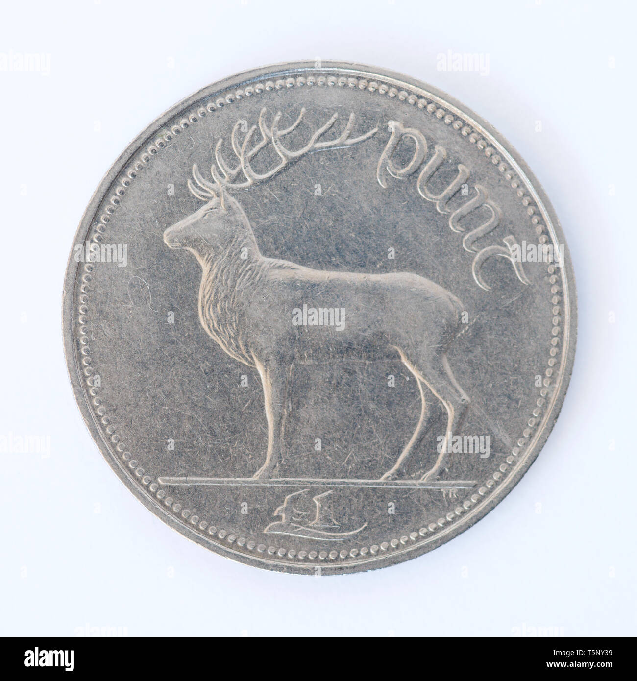 Irish one pound coin - 1990 Stock Photo