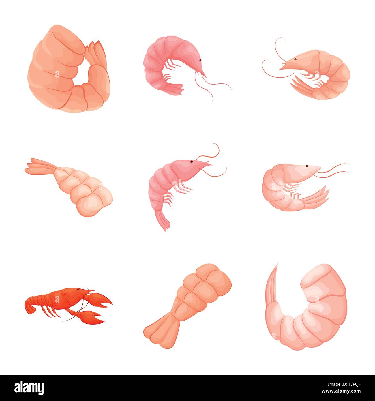 Cartoon red shrimp crab lobster Cut Out Stock Images & Pictures - Alamy