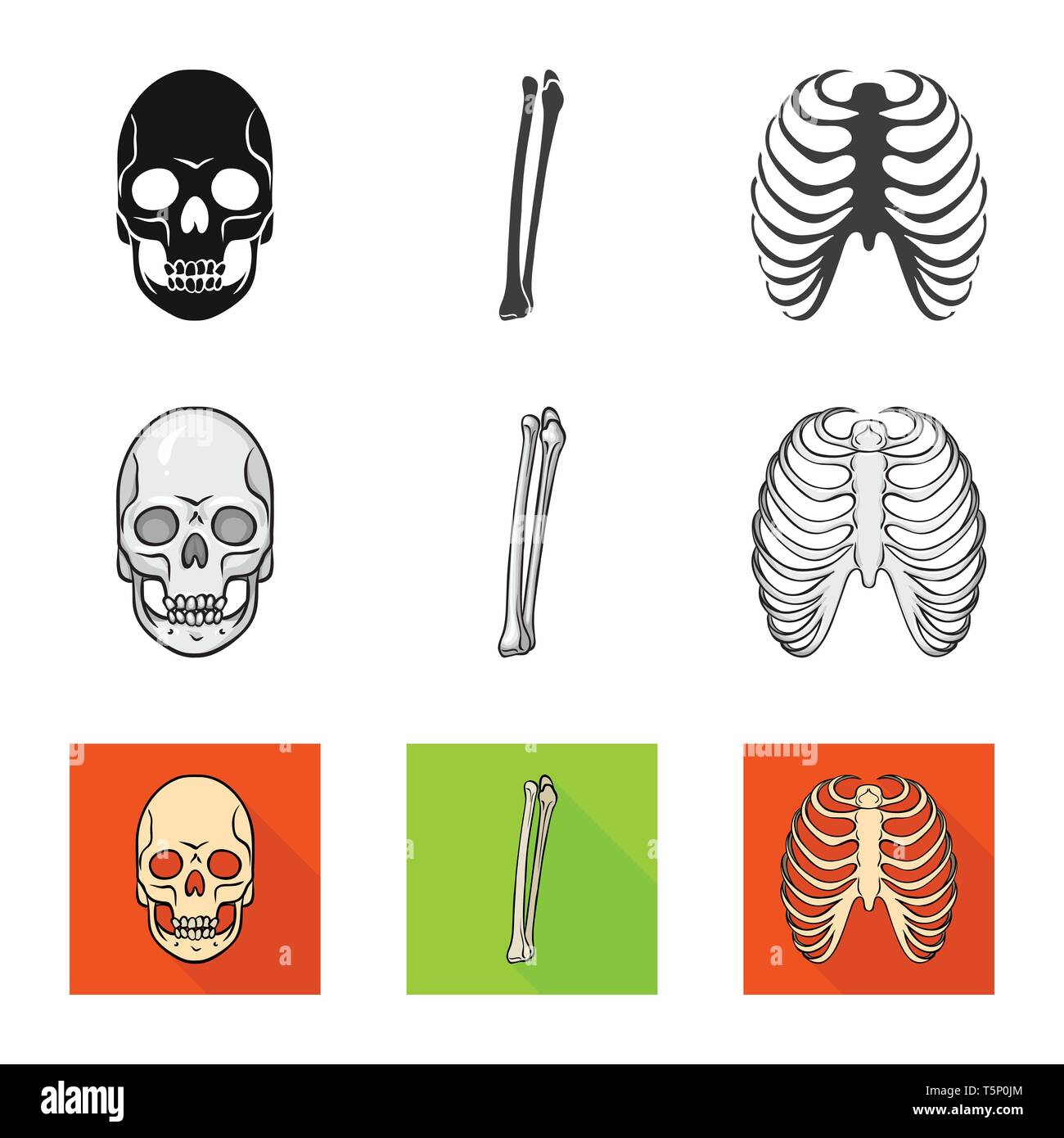 skull,femur,rib,death,cage,monster,leg,xray,evil,knee,body,horror,tibia,spine,tattoo,fibula,sternum,head,alignment,breastbone,eye,calcium,hell,surgery,teeth,medicine,clinic,biology,medical,bone,skeleton,anatomy,human,organs,set,vector,icon,illustration,isolated,collection,design,element,graphic,sign, Vector Vectors , Stock Vector