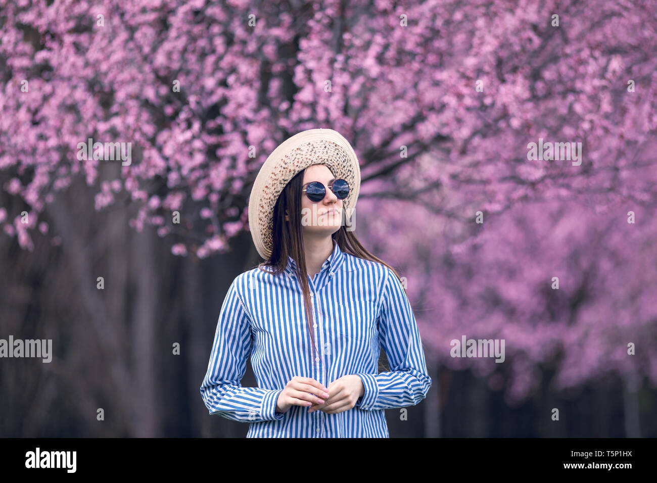 beautiful young woman in blooming cherry blossoms garden Stock Photo ...