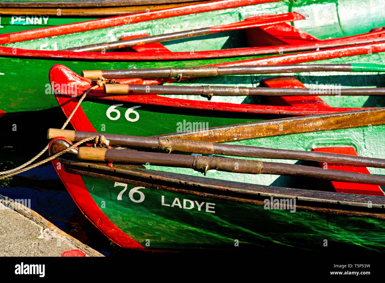 Rowing Boats, Knaresborough, North Yorkshire, England Stock Photo Alamy
