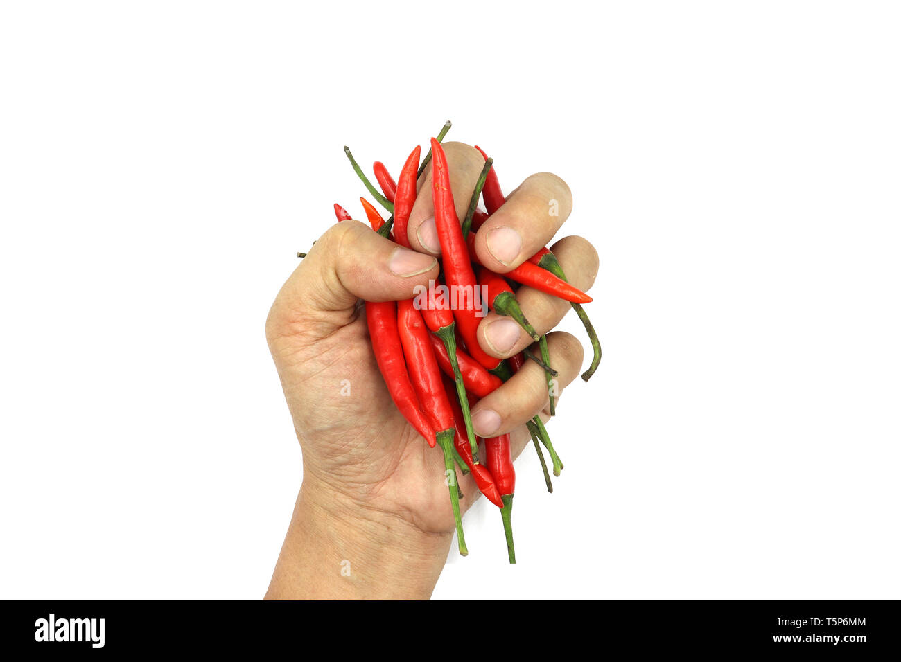 Chilies. male hands holding a handful of fresh harvested red hot
