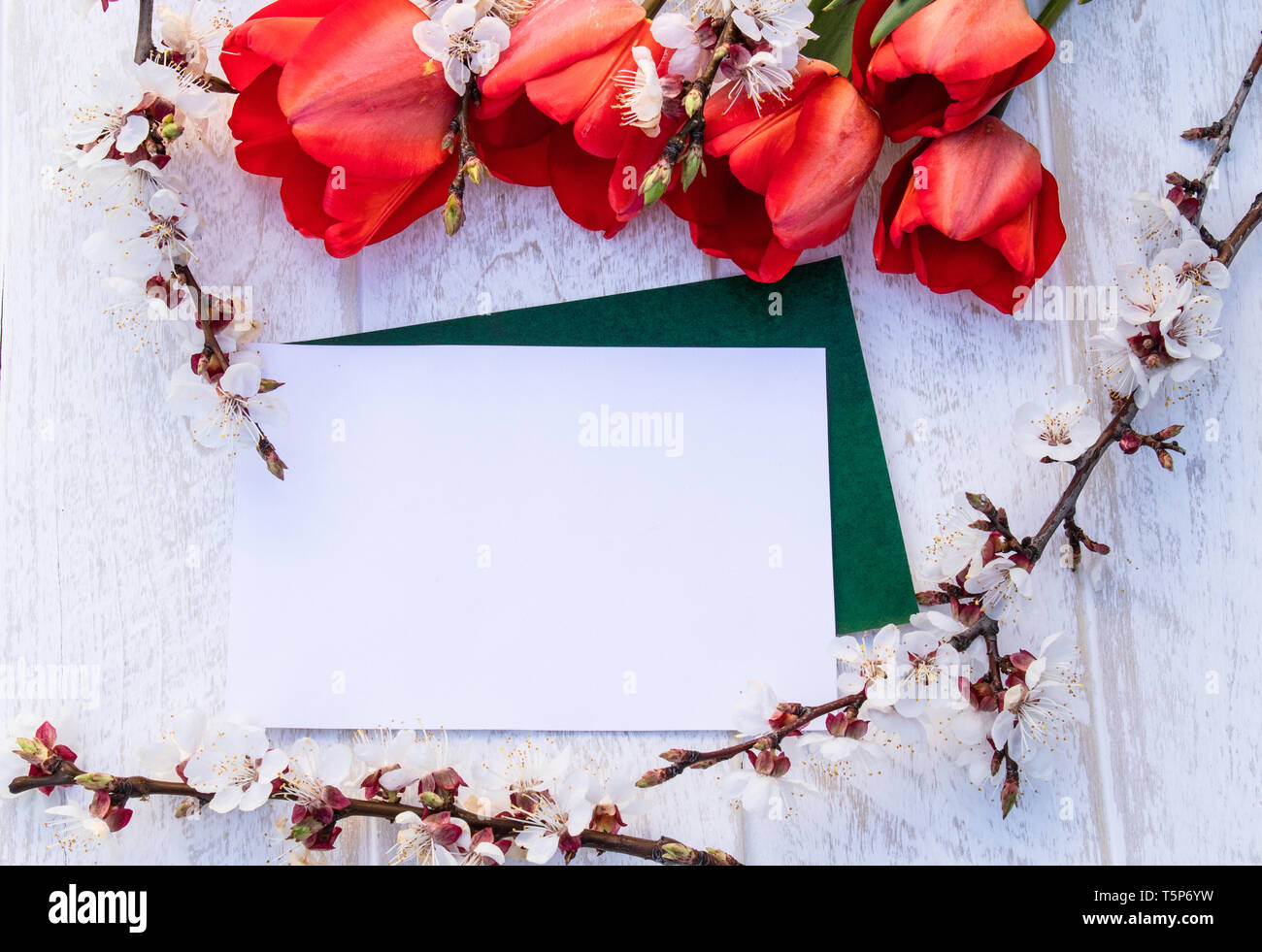 A bouquet of red tulips and branches of white flowers against white boards. Place for text. The concept of spring has come. View from above. Banner Ma Stock Photo