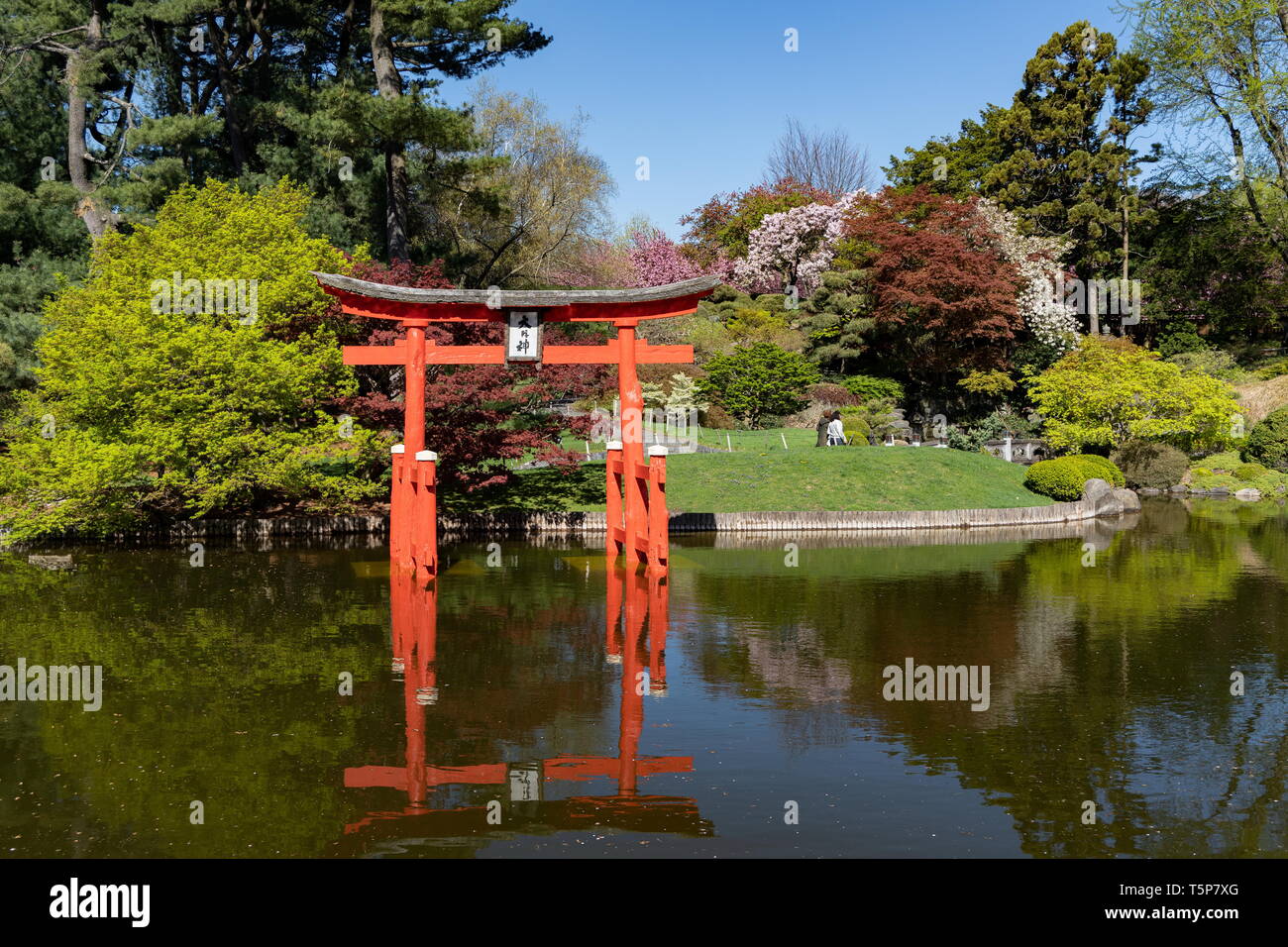 Torii Gate At The Japanese Hill And Pond Garden In Brooklyn